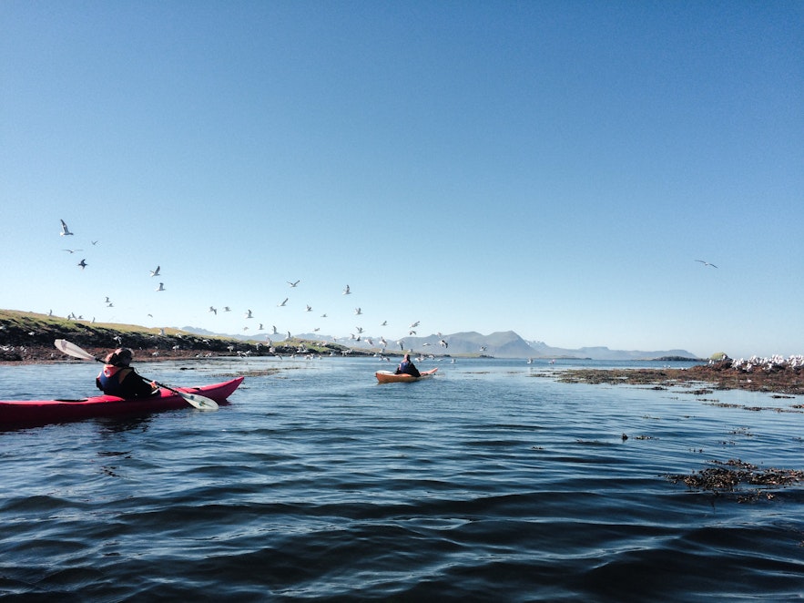 Kontiki Kayaking | Open Sea Adventures Off&nbsp;Snæfellsnes