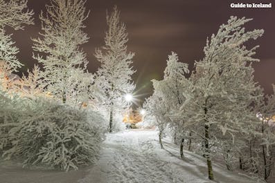 A snowy path in Reykjavík city.