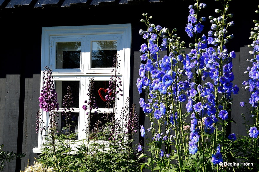 The beautiful Botanical garden in Akureyri - Lystigarður Akureyrar -