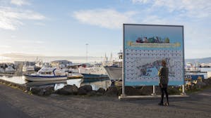 Port de Reykjavík 
