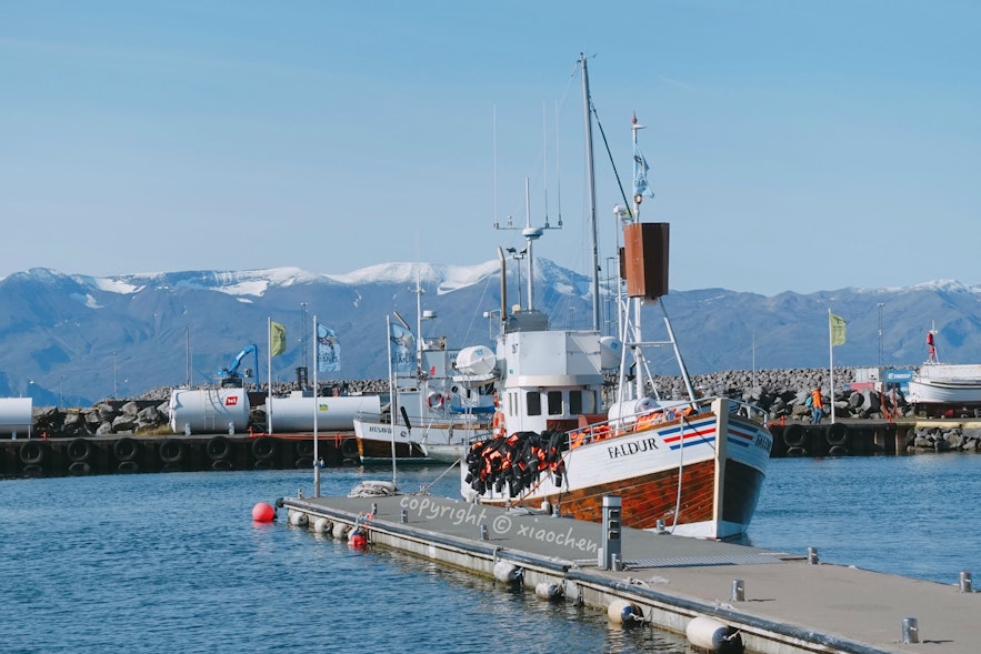 胡萨维克港口停泊的观鲸船