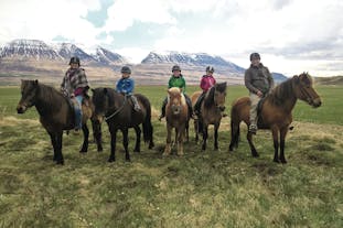 A group of riders planning to head out for a ride in Skagafjörður valley, North Iceland.