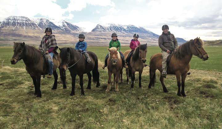 A group of riders planning to head out for a ride in Skagafjörður valley, North Iceland.