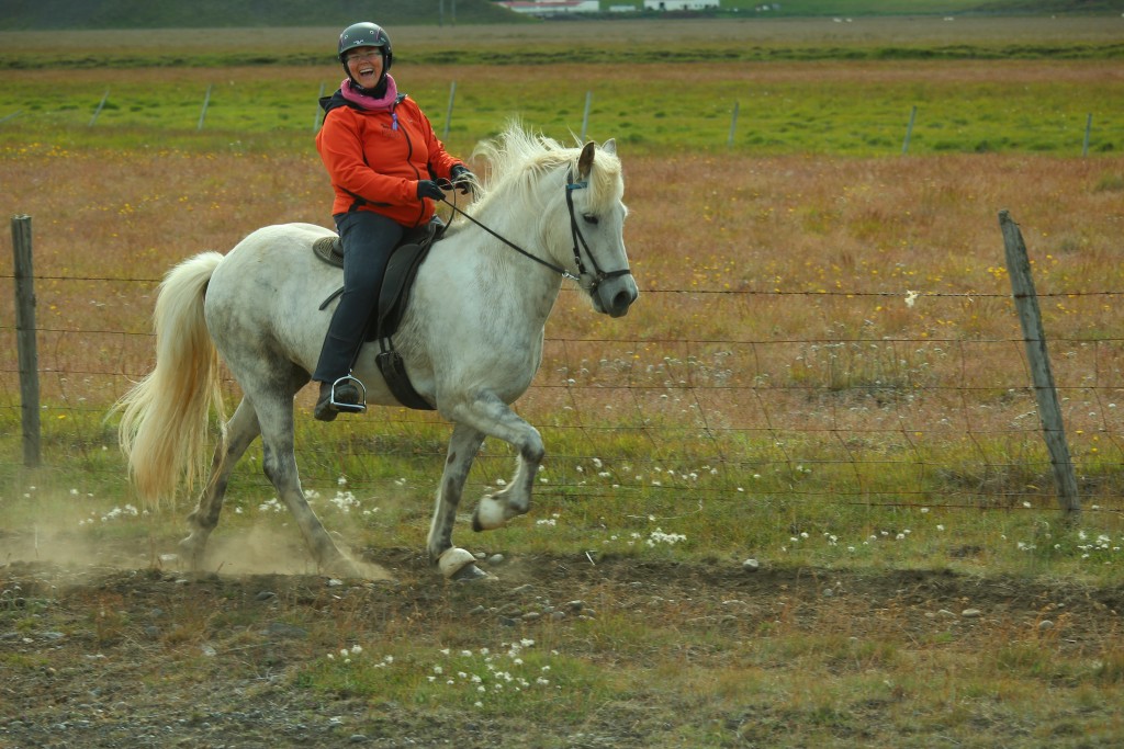 Horseriding Adventure | Meadows & Rivers of Skagafjordur ...