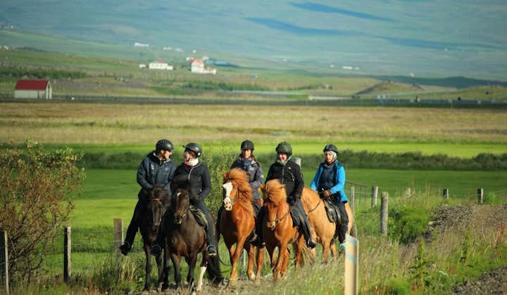 Riders near Varmahlíð, in Skagafjörður valley, riding on a country path.