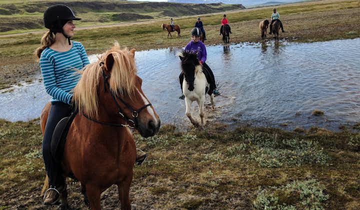 People enjoy crossing a river on horseback during a 3-hour intermediate level riding tour in North Iceland.