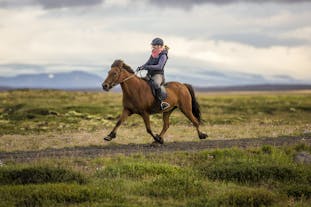 An experienced rider enjoying a ride with a majestic Icelandic horse.