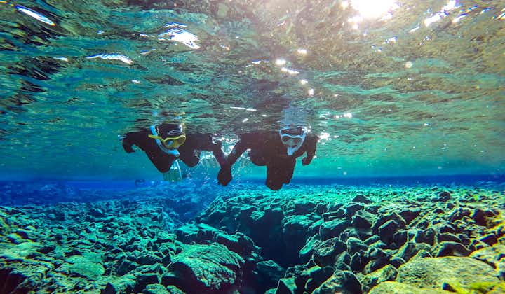 Snorkelling couple explores the bottom of the shallow end of the Silfra fissure.