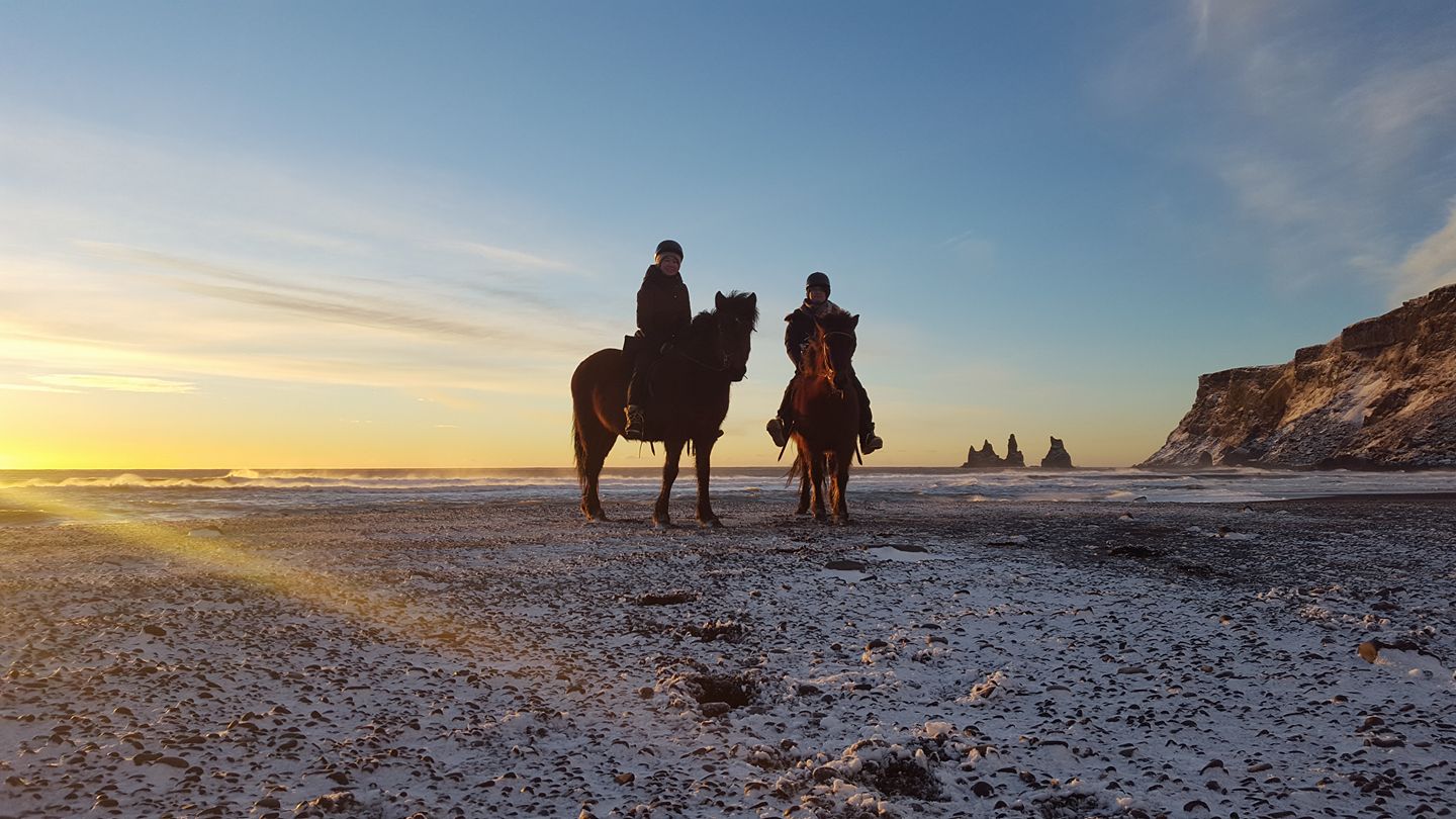 乗馬ツアー フレンドリーなアイスランドホースに出会える各種のツアーを検索 Guide To Iceland