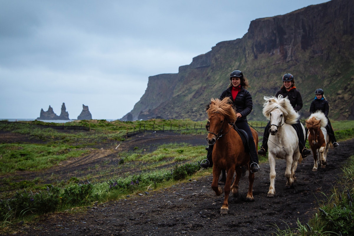 Fantastic Horseback Ride on a Black Sand Beach with Transfer from Vik ...