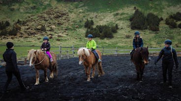 您将在冰岛南岸的黑沙滩上体验骑马。