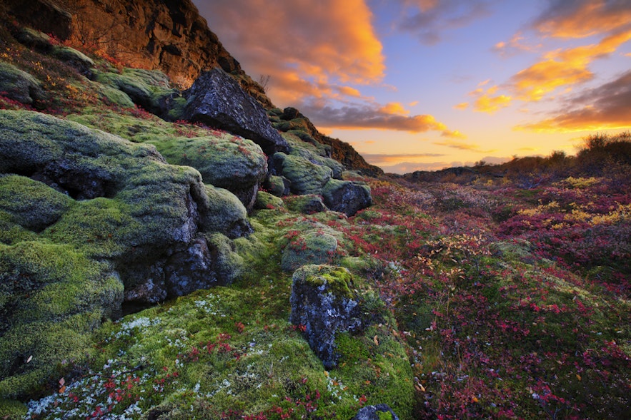 冰岛秋色－最美的就在离首都很近的黄金圈辛格维利尔国家公园