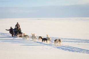 Eine Fahrt mit dem Hundeschlitten im Winter ist eine beeindruckende Art, die verschneiten Landschaften Islands zu durchqueren.