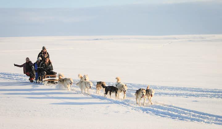 En tur med hundspann på vintern är ett imponerande sätt att färdas genom Islands snötäckta landskap.
