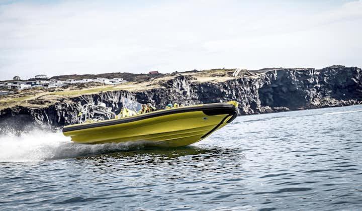 Naturskjønn 2-timers båttur med RIB på Vestmannsøyene med transport fra havnen på Heimaey