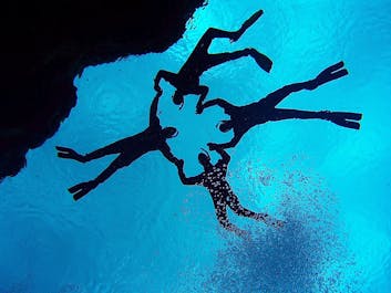 Four people hold hands while snorkeling in the Silfra fissure in the Thingvellir National Park.