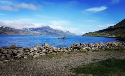 A broken down pier in an small village in the Westfjords.