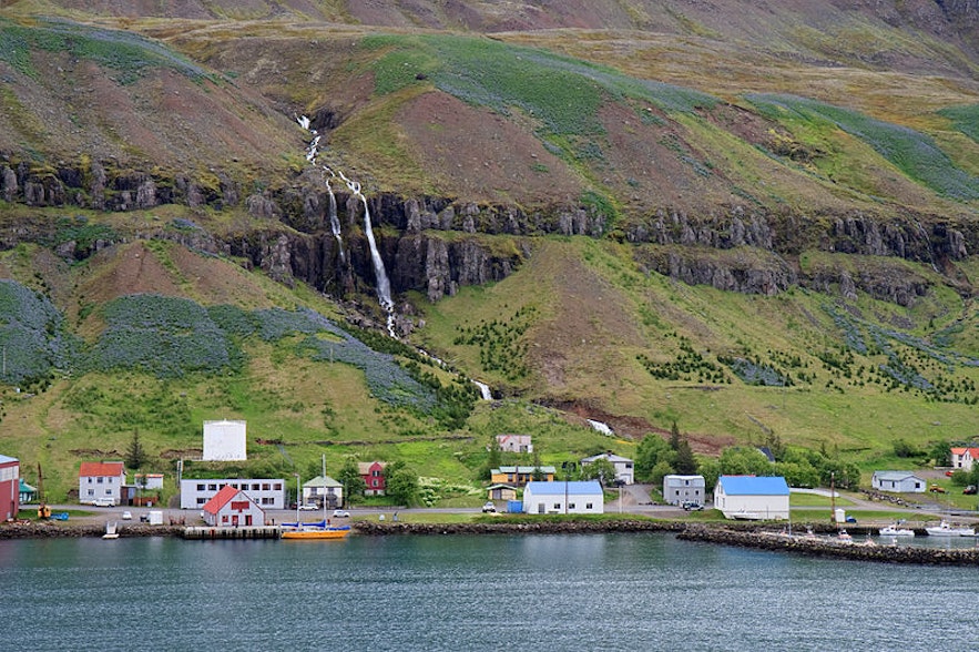 冰岛东部的塞济斯菲厄泽峡湾小镇上有众多木质色彩房子