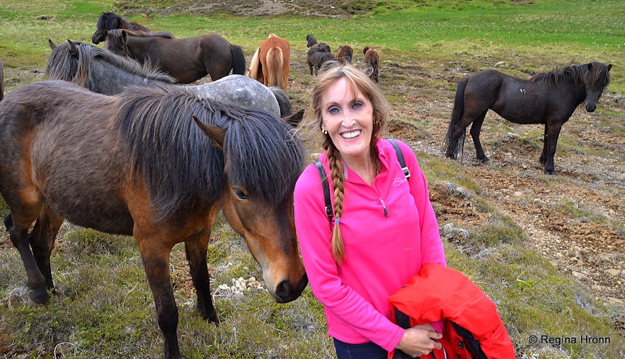 Regína with Icelandic horses by Mt. Hestfjall