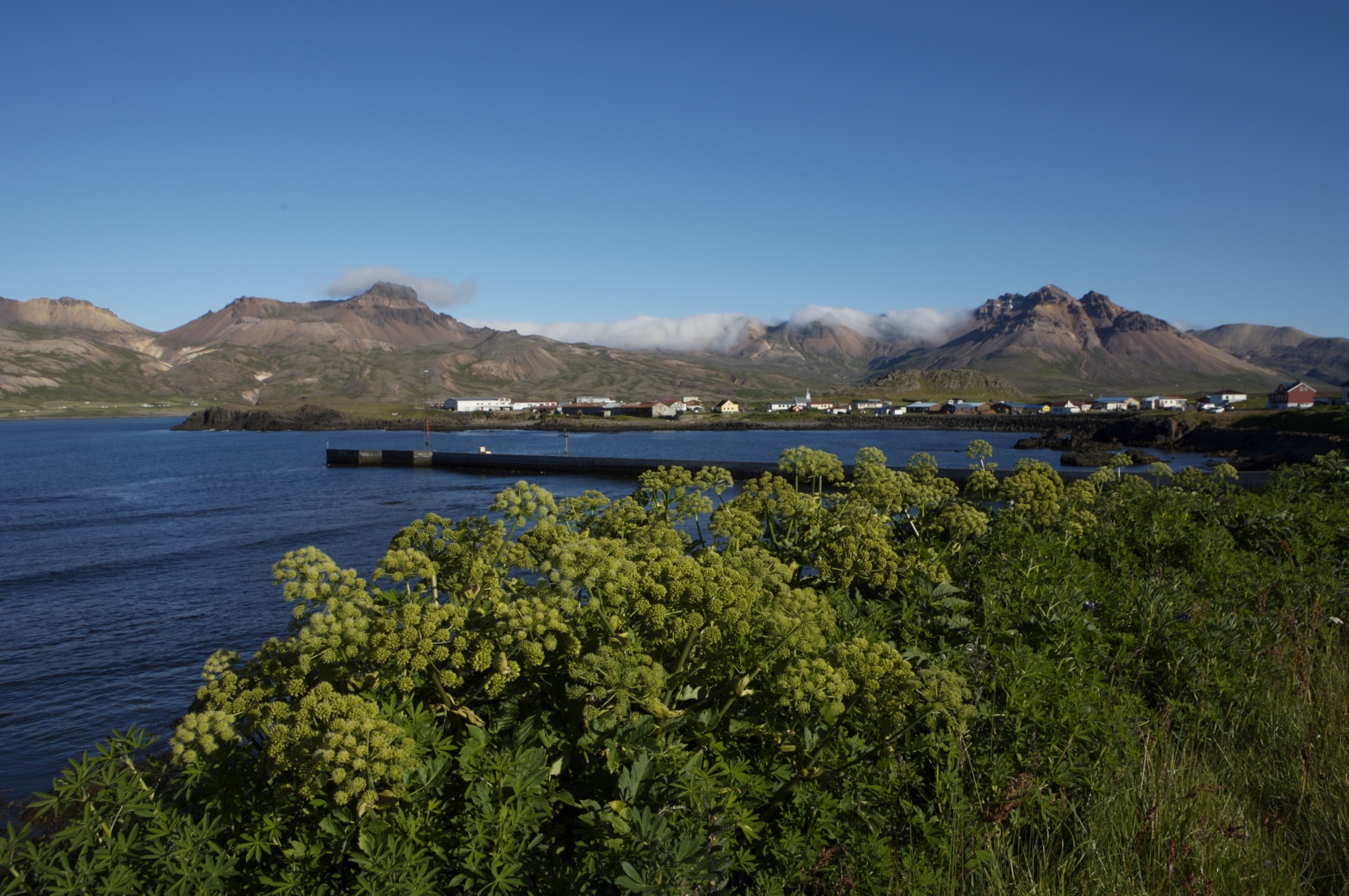 A sunny day over the fjord of Borgarfjörður eystri.