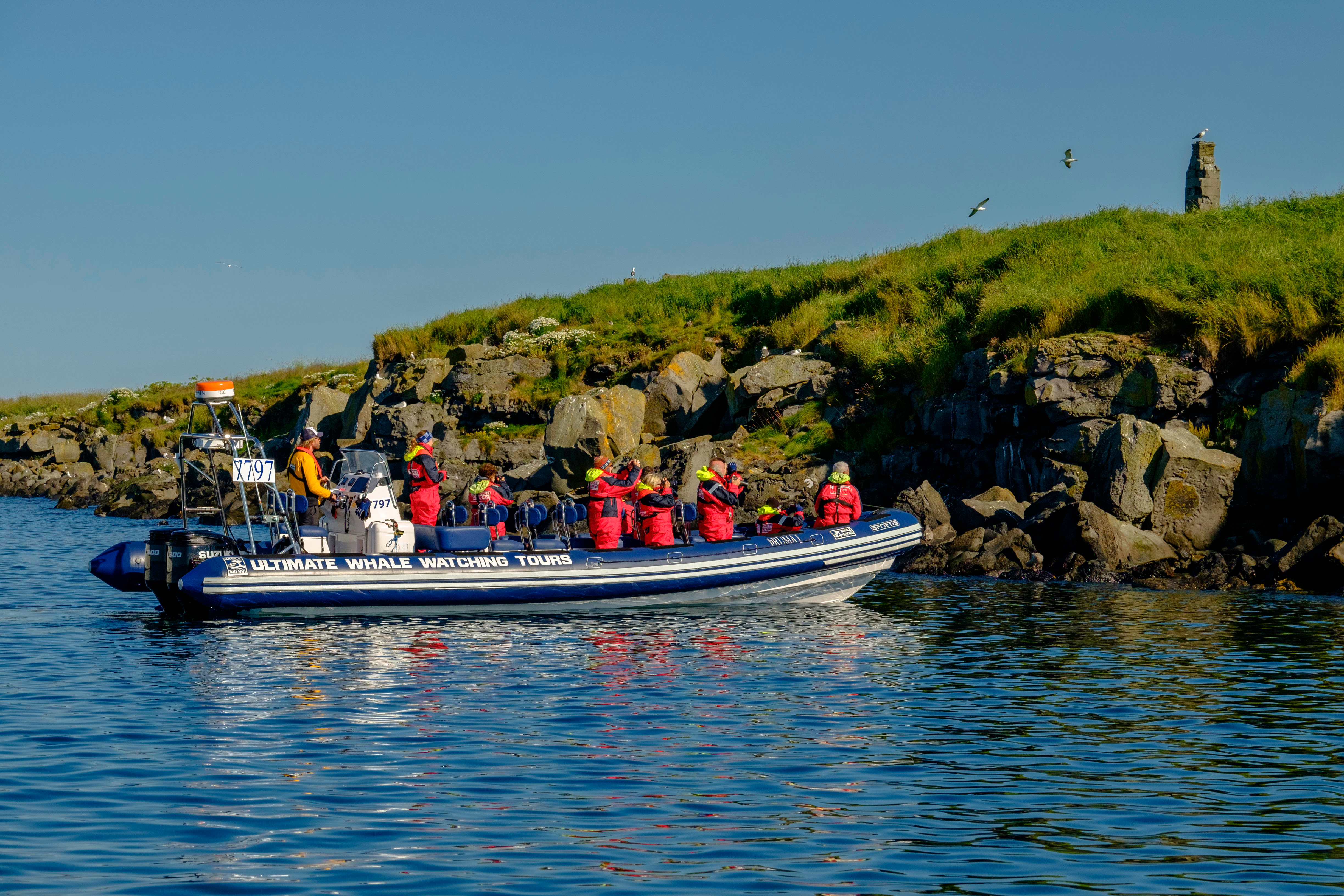 puffin boat tours iceland