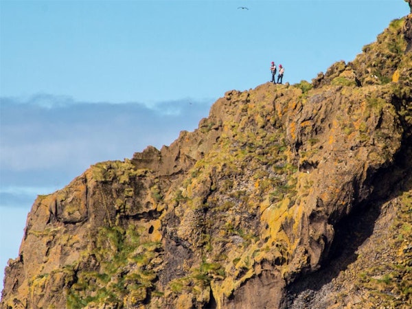 Seabirds and Cliff Adventures 