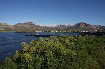 Borgarfjörður eystri on a sunny day.