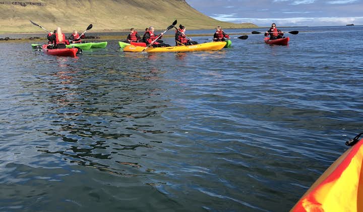 Hope in a kayak and join this fishing adventure by Mt. Kirkjufell.