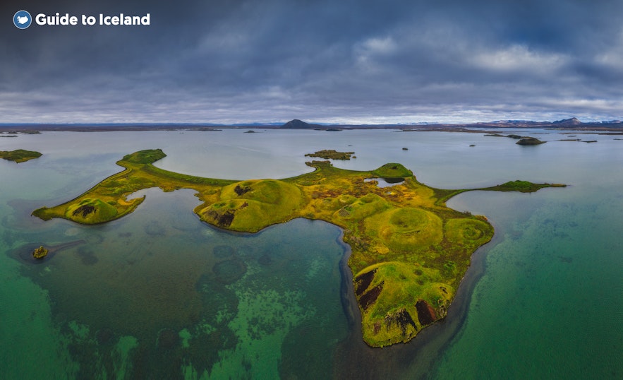 아이슬란드 북부는 독특하고 다양한 동식물의 서식지입니다.