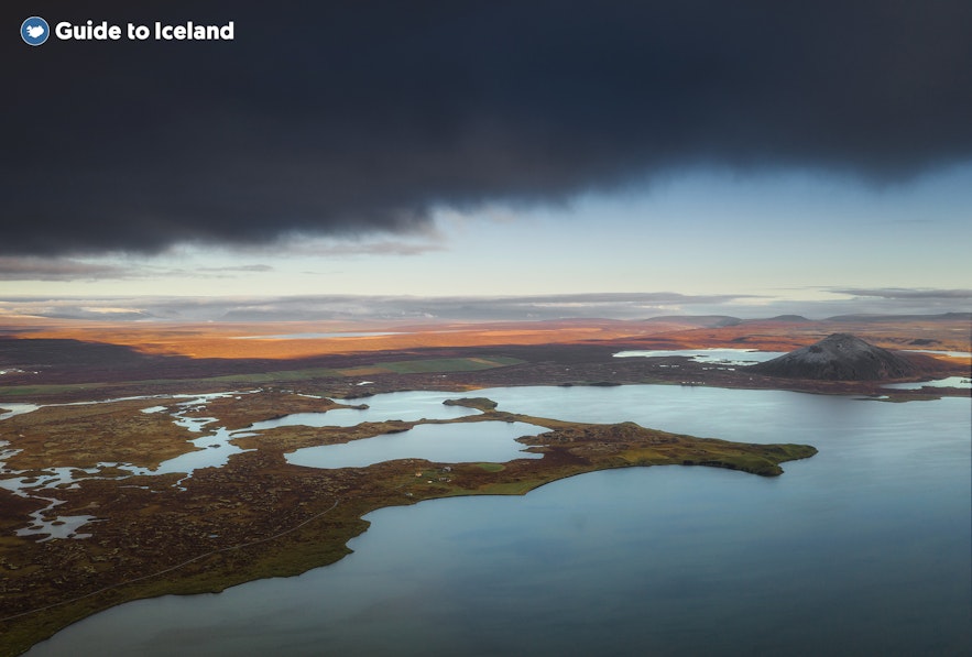 W jeziorze Mývatn w północnej Islandii występuje wiele gatunków ryb.