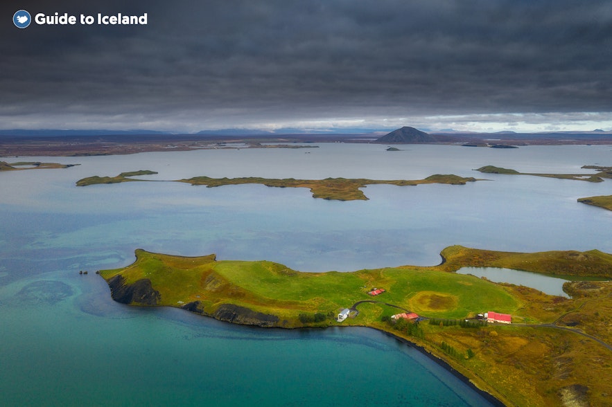 The many islets of Myvatn make it a perfect breeding place for birds.