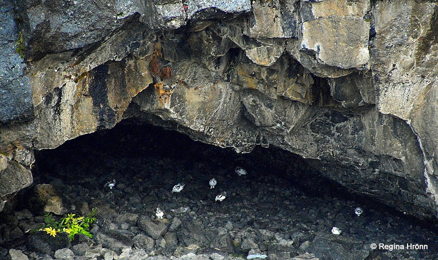 Jötuhellir cave by Geitafoss waterfall
