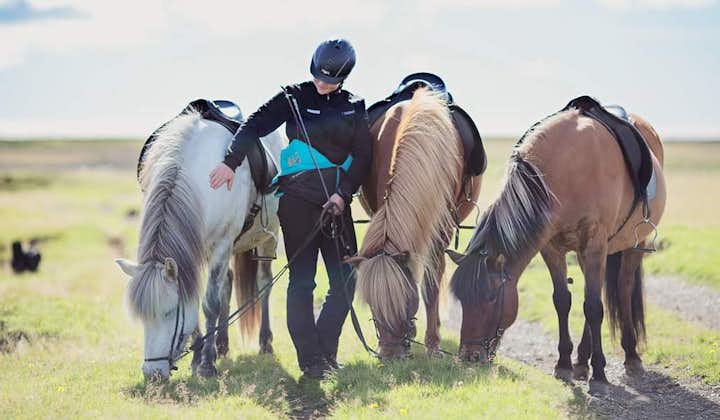 Horse riding is an essential tour for those visiting the land of ice and fire.