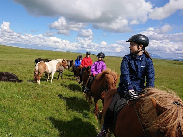 Icelandic HorseWorld