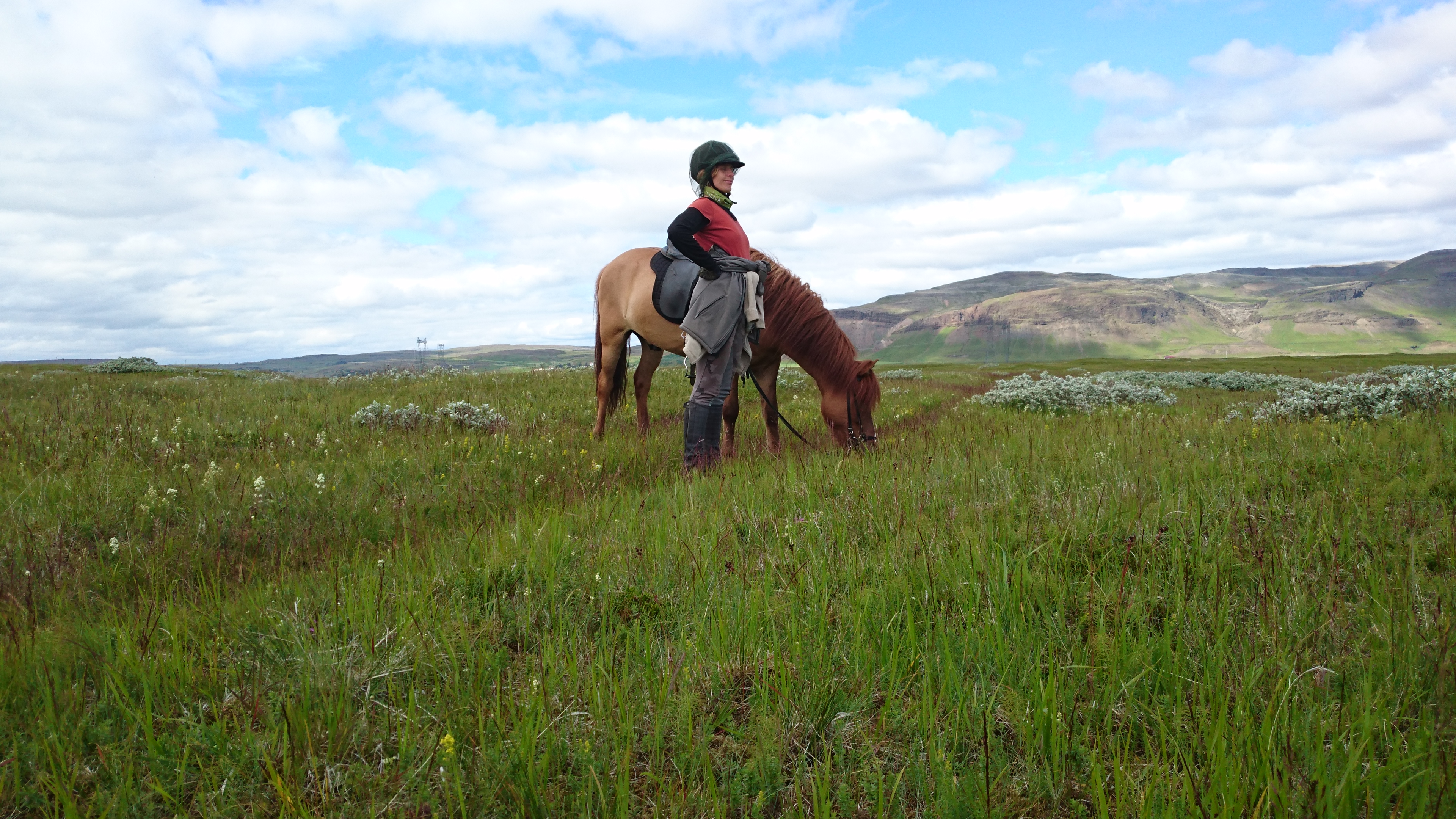 Horse Riding is one of the most popular tour activities in Iceland.
