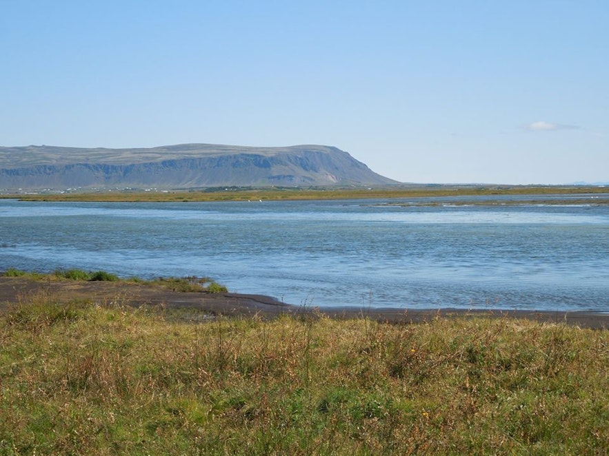 Fluss Olfusa und Berge in Island
