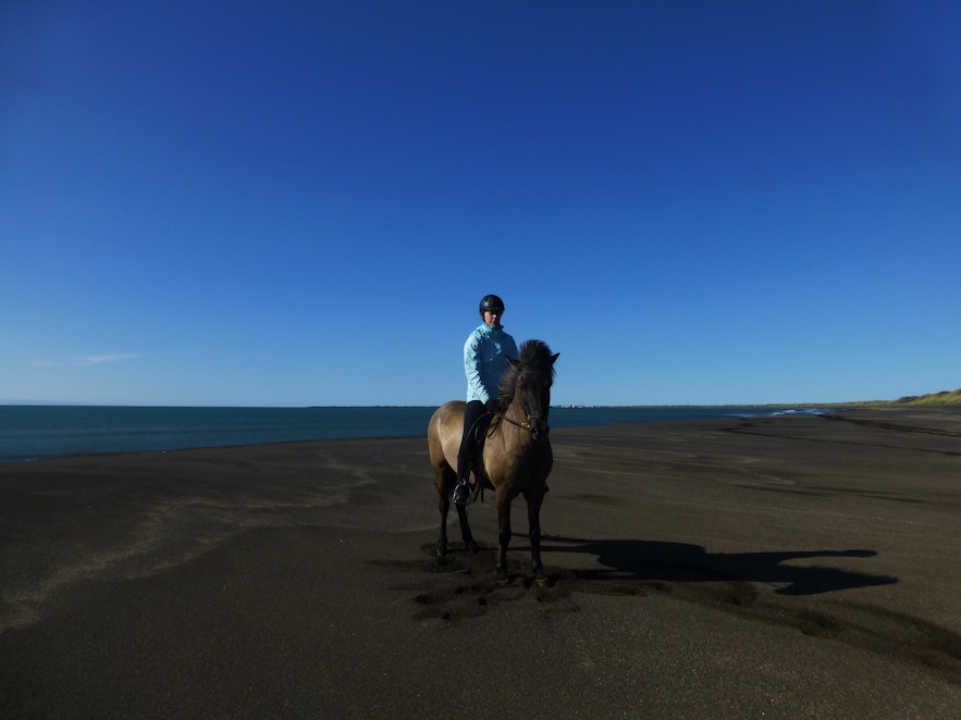 Islandpferd am schwarzen Strand