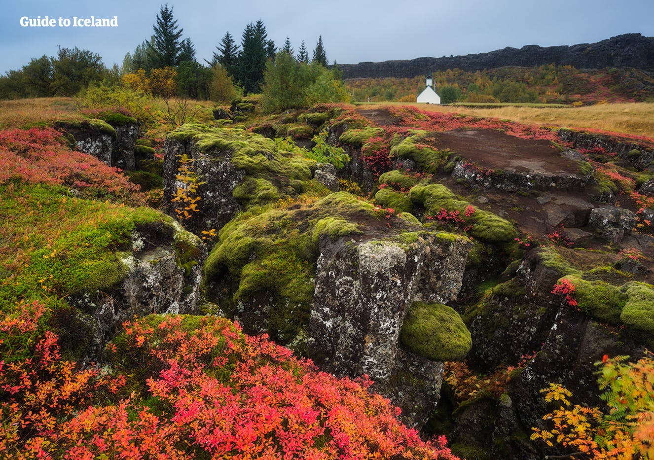 Moss-covered lava fields at Þingvellin National Park which is one part of the famous Golden Circle route.