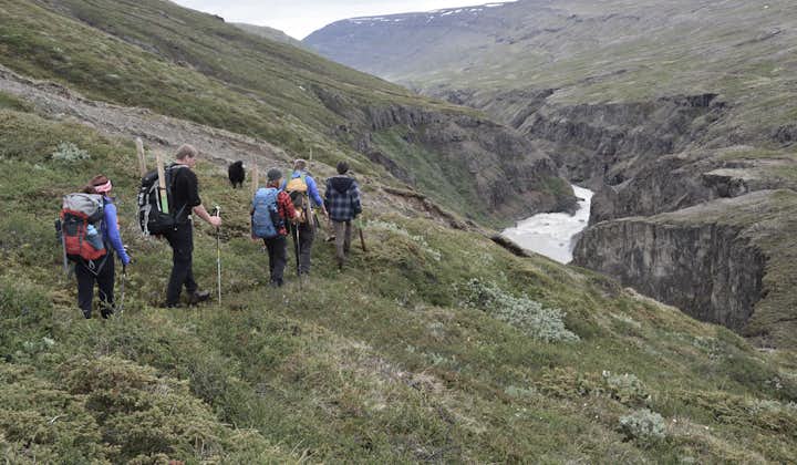 Spend a day in East Iceland hiking along Jökulsá river.