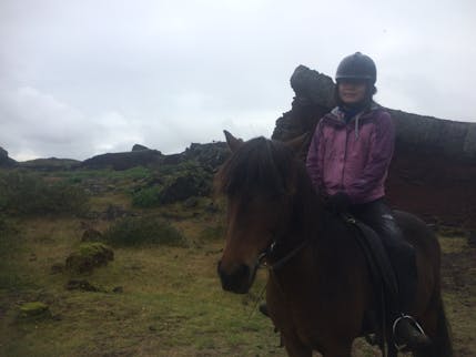 アイスランドで乗馬体験｜アイスランディックホースに乗ってきました！