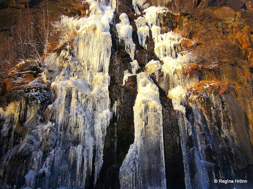 A frozen waterfall at Skaftafell S-Iceland