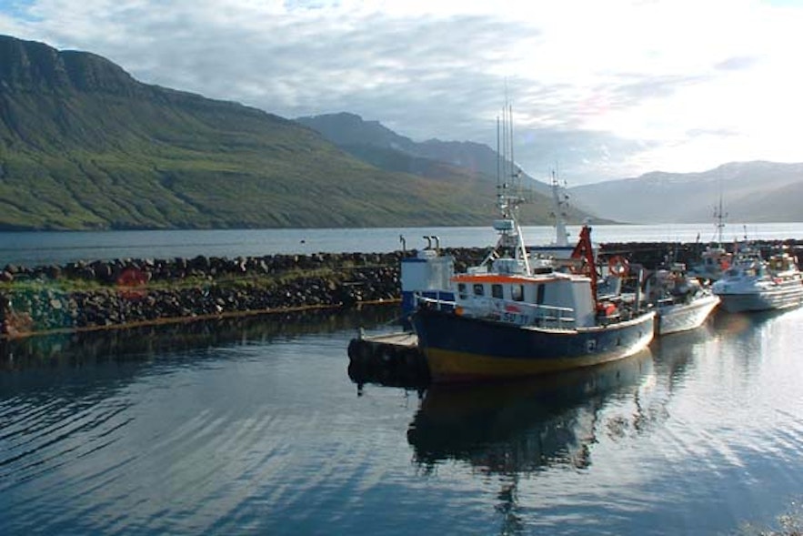 Mjóifjörður峡湾