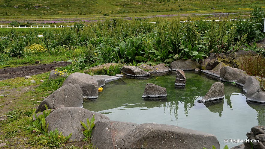 冰島Heydalur 溫泉