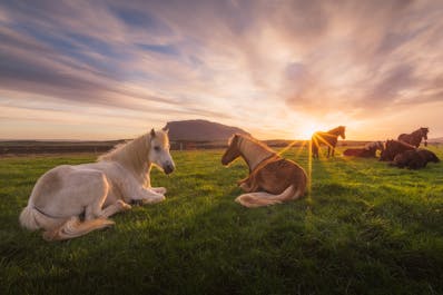 夕阳是冰岛的夏季摄影的黄金时段，可以拍摄出如诗如画的北部瀑布美景