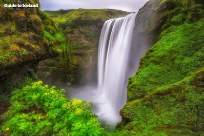The beautiful Skogafoss waterfall on Iceland's South Coast often casts rainbows across its surroundings.
