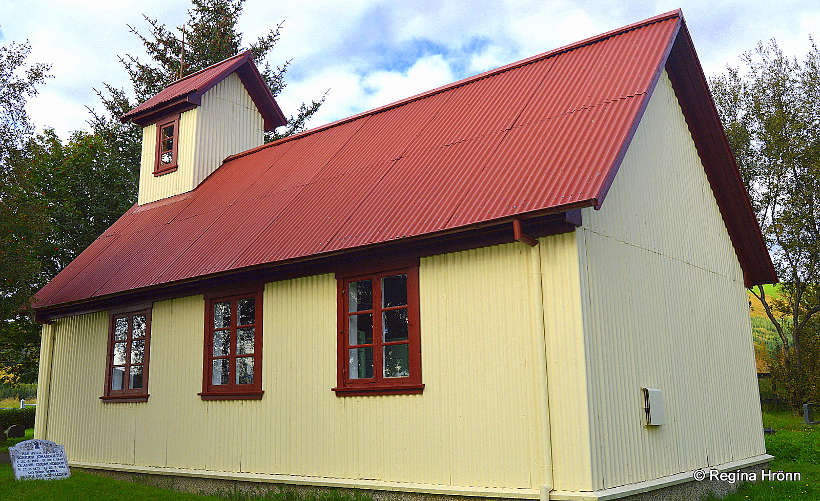 A Visit to the Icelandic Haukadalsskógur Forest with a Di