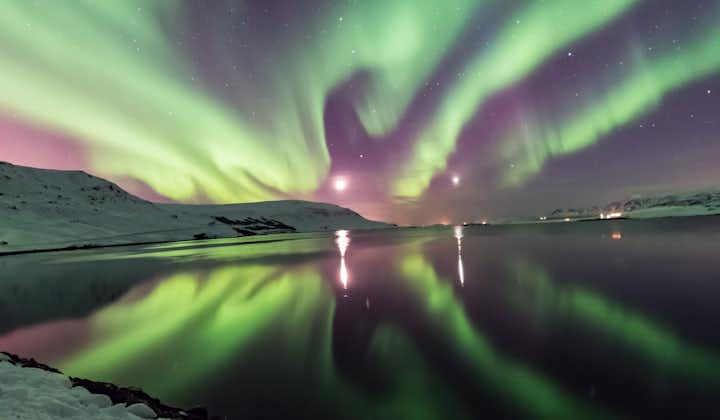 The northern lights illuminating a body of water in Iceland.