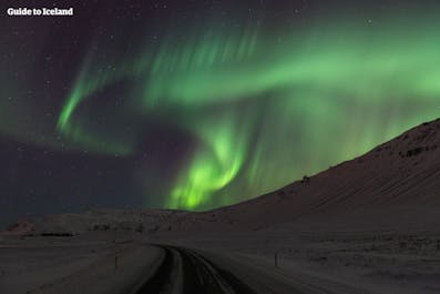 The Northern Lights dancing across the winter sky.