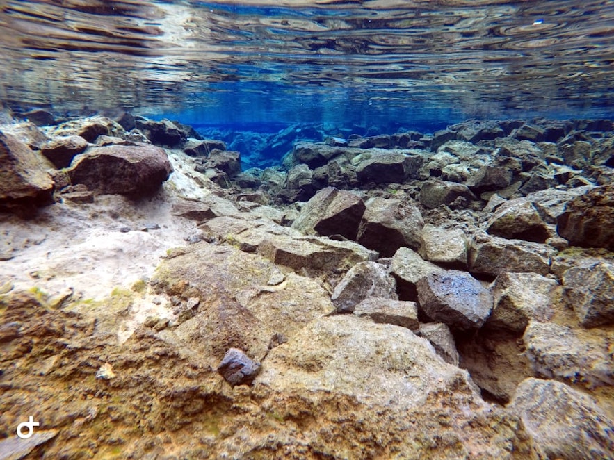Unterwasserwelt der Silfra 