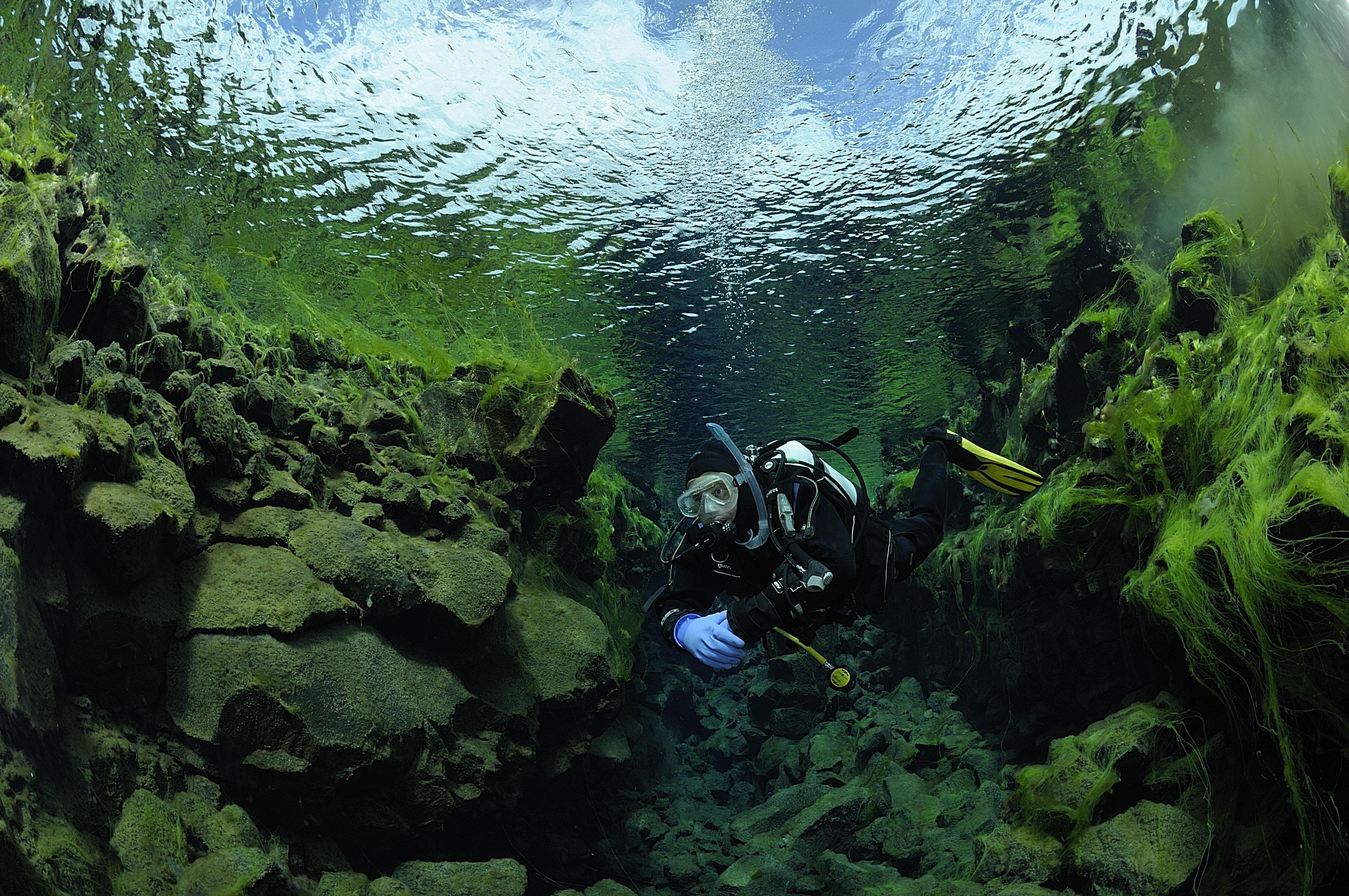 Dry Suit Diving Tour At Silfra In Iceland Guide To Iceland